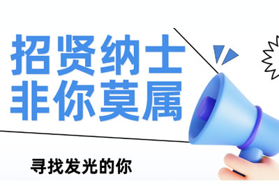 asp.net(C#)软件工程师